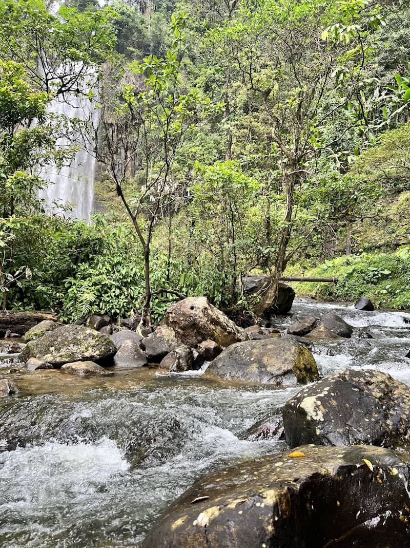 Khung cảnh hoang sơ tại Thác Liêng Ài
