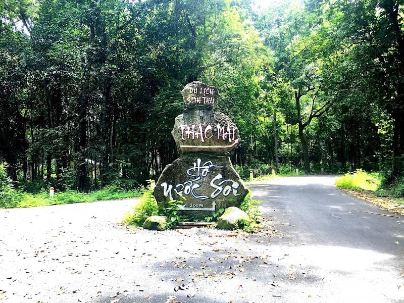 Đường rừng Thác Mai