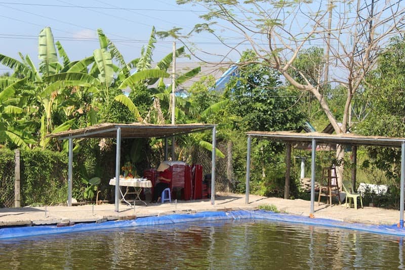 Thach Thao Homestay - lối đi xanh mát
