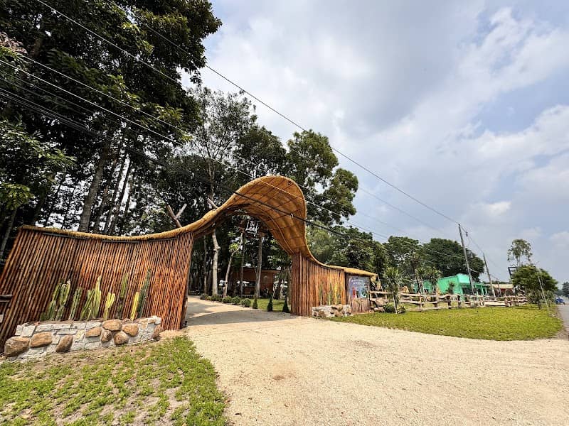 The Leaf Cafe & Glamping - Hoạt động chèo sup