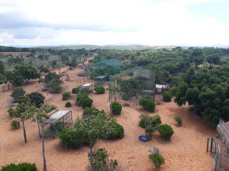 Review Thozoo – Cẩm Nang Du Lịch Bình Thuận