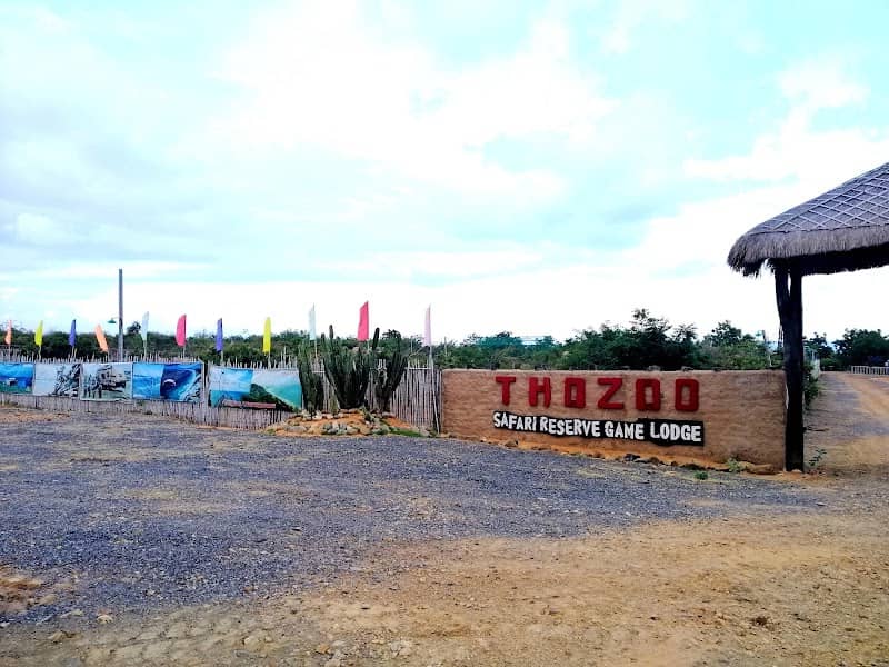 Bình minh tại Thozoo