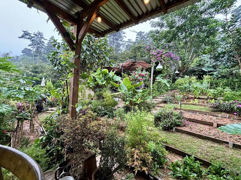 Tiệm cà phê Nắng Thuỷ Tinh - Khung cảnh lãng mạn
