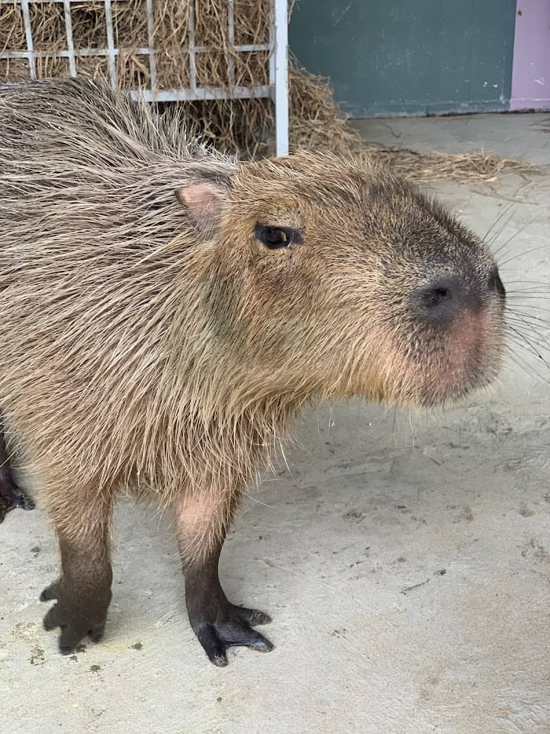 Tiên Tiến Farm & Zoo - Cổng vào nông trại