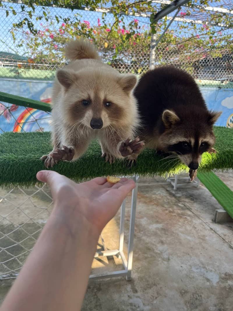 Khu vực nuôi thú ở Tiên Tiến Farm & Zoo