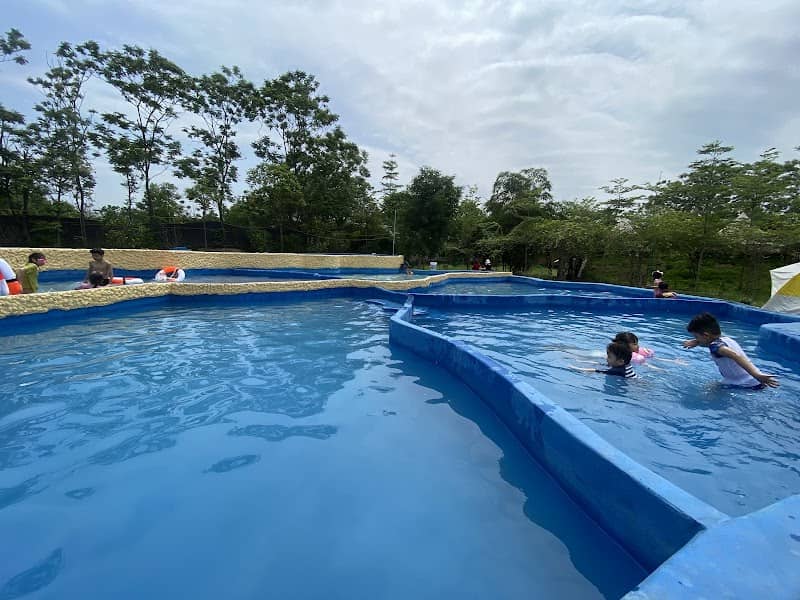 Đường đi trong khu TreeFarm