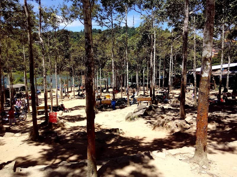 Review Tượng Phật Di Lặc lớn nhất Châu Á – Cẩm Nang Du Lịch