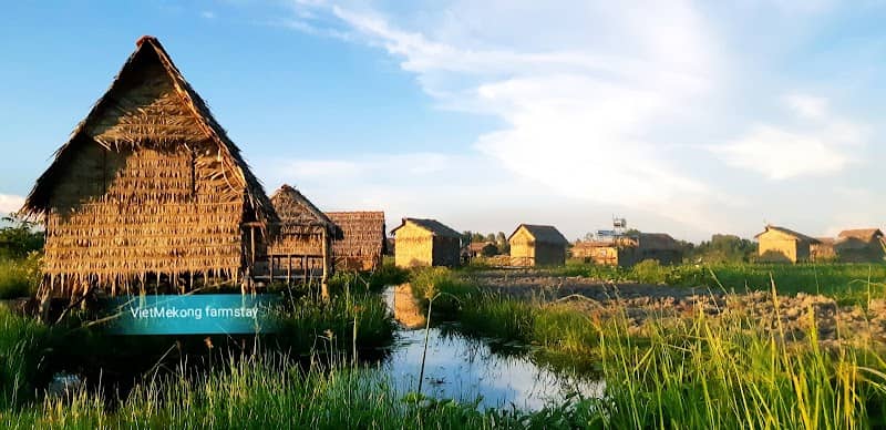 Review Việt Mekong Farmstay (VietNam Farmstay) – Tất Tần Tật Kinh Nghiệm Du Lịch Chi Tiết