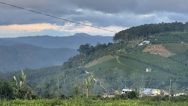 Khung cảnh bình minh tại View Săn Mây Điện Gió