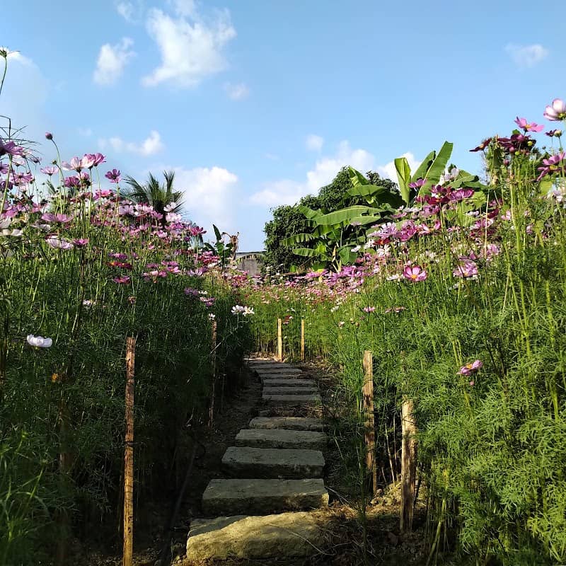 Check-in Vó Sông Farm