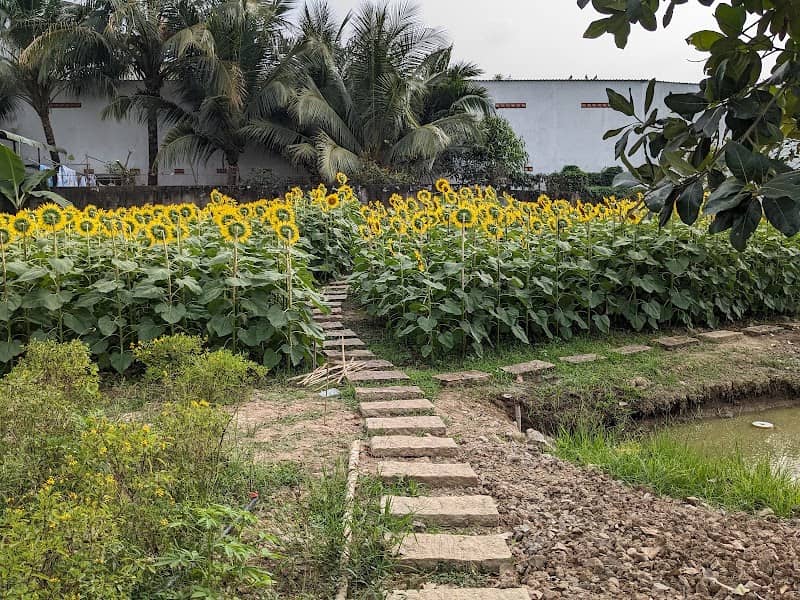 Hoạt động Vó Sông Farm