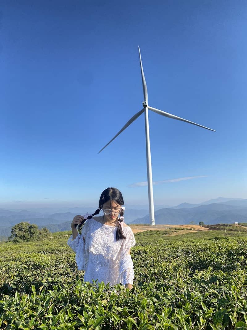 Hồng Treo Gió