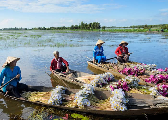 Review Vườn quốc gia Tràm Chim – Cẩm Nang Du Lịch