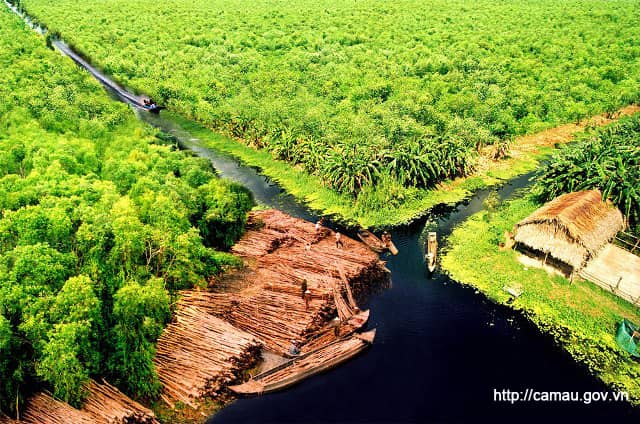 Kênh nước vàng U Minh Hạ