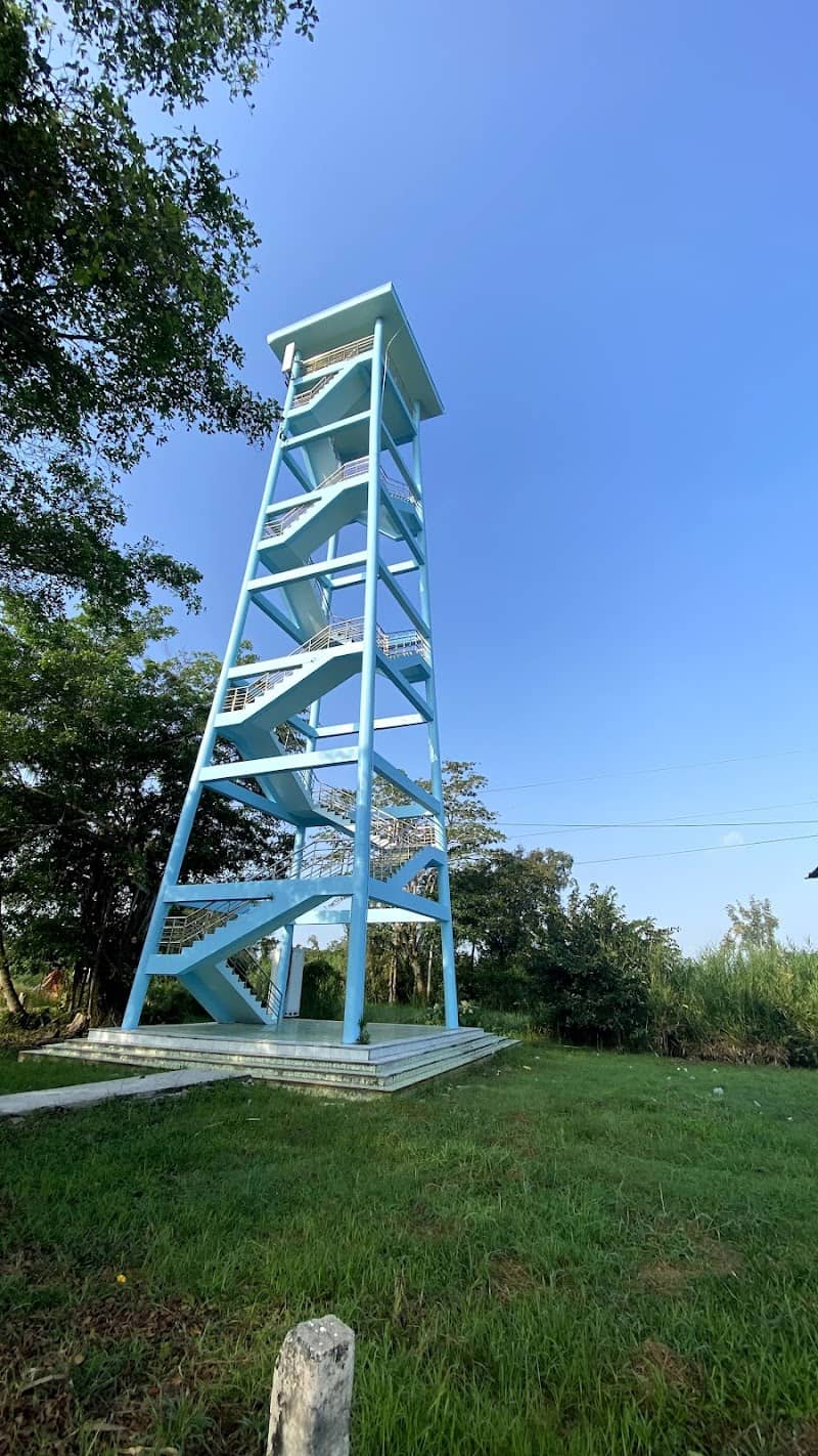 Du khách khám phá U Minh Hạ