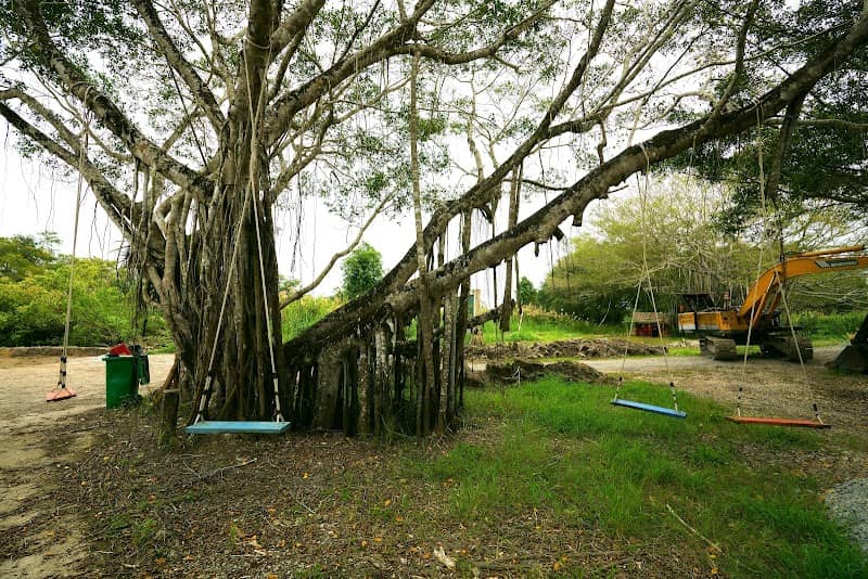 Vườn Quốc Gia U Minh Hạ