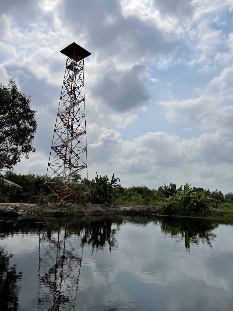 Vườn Quốc Gia U Minh Hạ