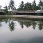 Review Vườn sinh thái Long Nguyên (JS) – Cẩm Nang Du Lịch Trải Nghiệm Tuyệt Vời