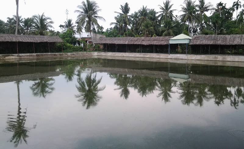 Review Vườn sinh thái Long Nguyên (JS) – Cẩm Nang Du Lịch Trải Nghiệm Tuyệt Vời