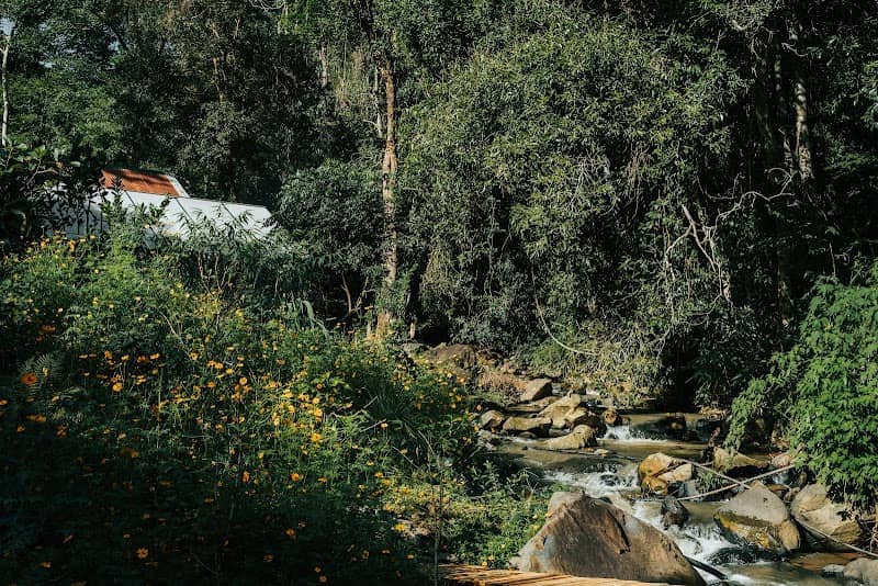 Trải nghiệm tại Yên Glamping