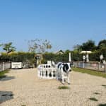 Vietgangz Glamping Club Saigon Có Gì Hấp Dẫn? Review & Kinh Nghiệm Du Lịch Chi Tiết 2025