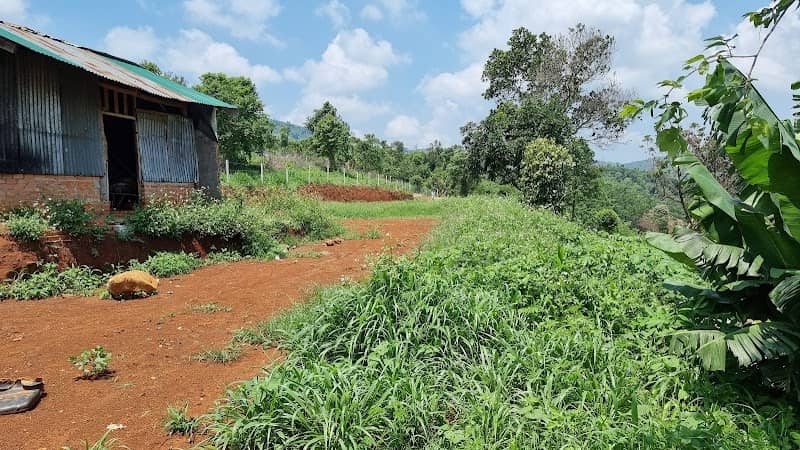 Review Gia Thắng camping – Kinh Nghiệm Du Lịch Di Linh Lâm Đồng