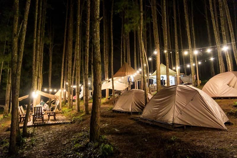 Review Reo Campsite - BBQ – Kinh Nghiệm Du Lịch Đà Lạt
