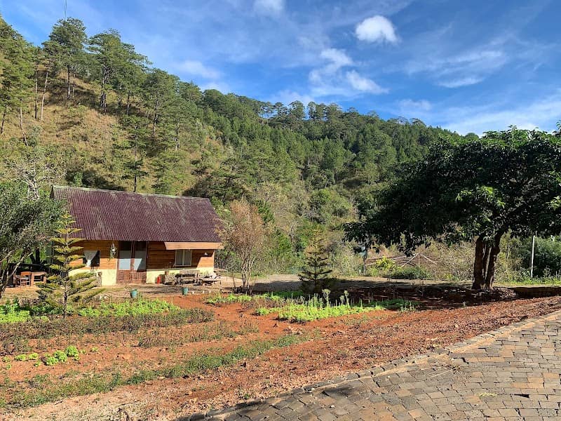 Review Ankroet Camp Đà Lạt – Cẩm Nang Du Lịch