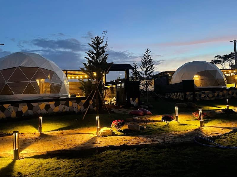 OLALA GLAMPING – Cẩm Nang Du Lịch "Chữa Lành" Cực Hài Hước