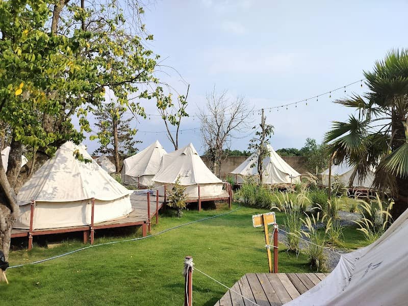Savora Cafe & Glamping – Kinh Nghiệm Du Lịch Từ A–Z