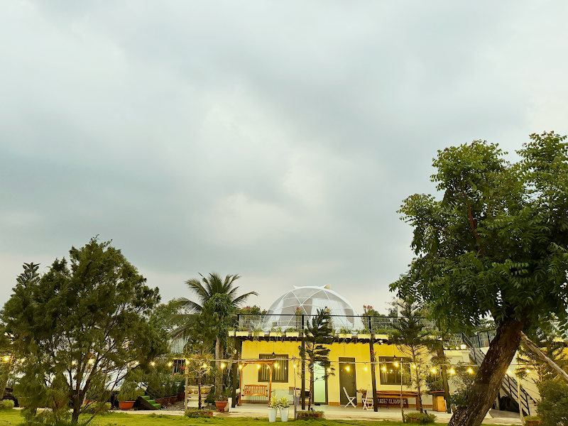 Sa Đéc Glamping Có Gì Hấp Dẫn? Review & Kinh Nghiệm Du Lịch Chi Tiết