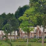 Review Bana Rita Glamping Farm – Tất Tần Tật Kinh Nghiệm Du Lịch Chi Tiết 2024