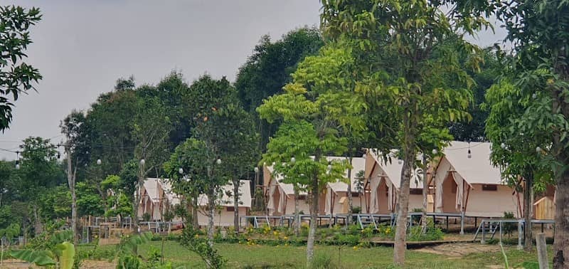 Review Bana Rita Glamping Farm – Tất Tần Tật Kinh Nghiệm Du Lịch Chi Tiết 2024