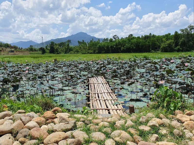 Hani Glamping Đà Nẵng Có Gì Hấp Dẫn? Review & Kinh Nghiệm Du Lịch Chi Tiết