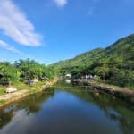 Review BORO Campsite – Trải Nghiệm Cắm Trại Sang Trọng Giữa Lòng Đà Nẵng