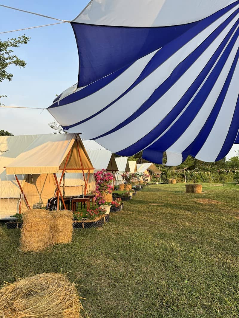 An Phu Farm Ba Na Có Gì Hấp Dẫn? Review & Kinh Nghiệm Du Lịch Chi Tiết