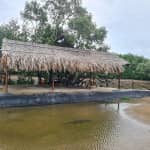 Camping Cần Giờ Có Gì Hấp Dẫn? Review & Kinh Nghiệm Du Lịch Chi Tiết 2025