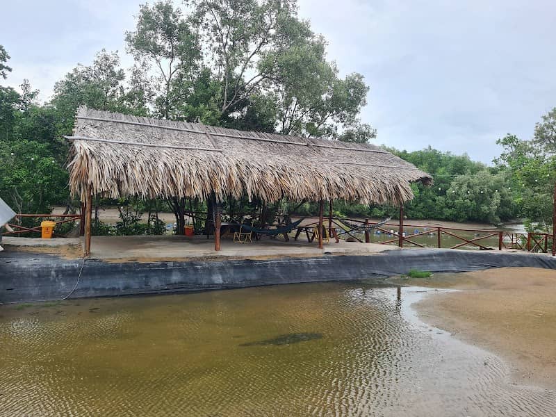 Camping Cần Giờ Có Gì Hấp Dẫn? Review & Kinh Nghiệm Du Lịch Chi Tiết 2025