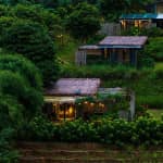 Nomia Garden Retreats Có Gì Hấp Dẫn? Review & Kinh Nghiệm Du Lịch Chi Tiết