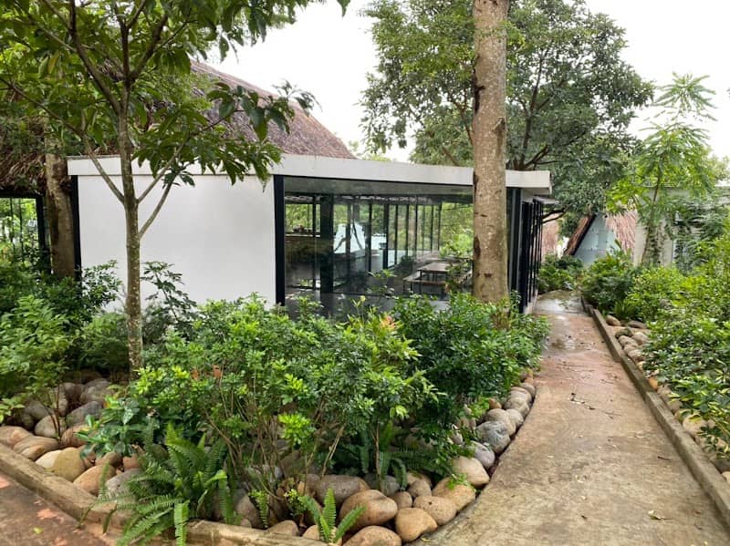 Avocado Yoga Retreat & Garden: Cứu tinh tâm hồn hay "chốn hành xác" dành cho kẻ lười biếng?