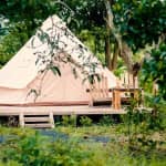 BINIFARM - Tropical Retreat – Kinh Nghiệm Cắm Trại Từ A–Z