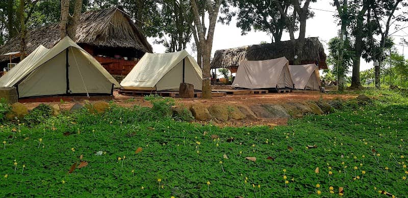 Cắm trại bên hồ Trị An tại Mada Lakeview Camping