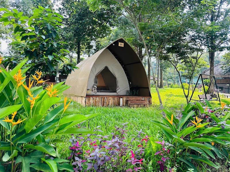 WOW GLAMPING - CẮM TRẠI HỒ TRỊ AN: KINH NGHIỆM DU LỊCH VÀ ĐÁNH GIÁ CHI TIẾT
