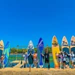 SAY Camp Forest – Cẩm Nang Du Lịch Từ A–Z