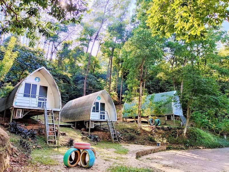 Sơn Tinh Camp tổng quan