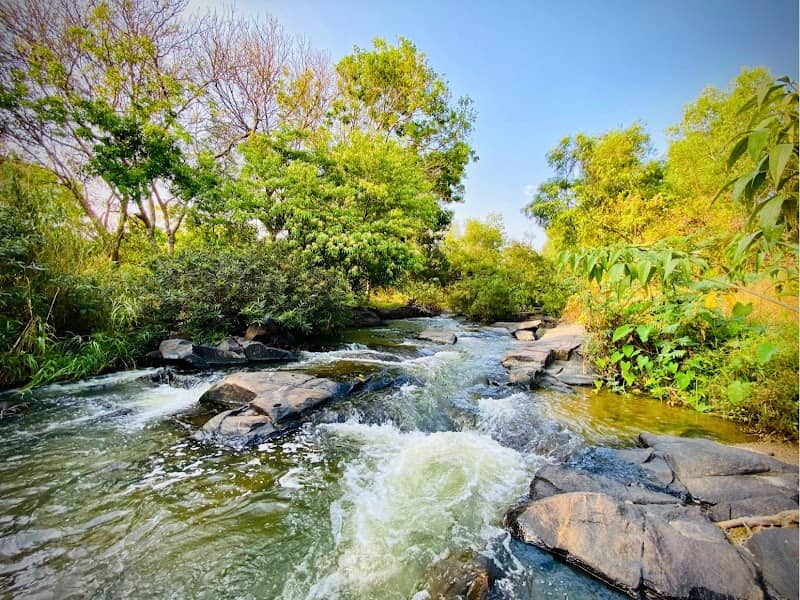 Khu Camping Thác Hòa Bình - Ẩm Thực