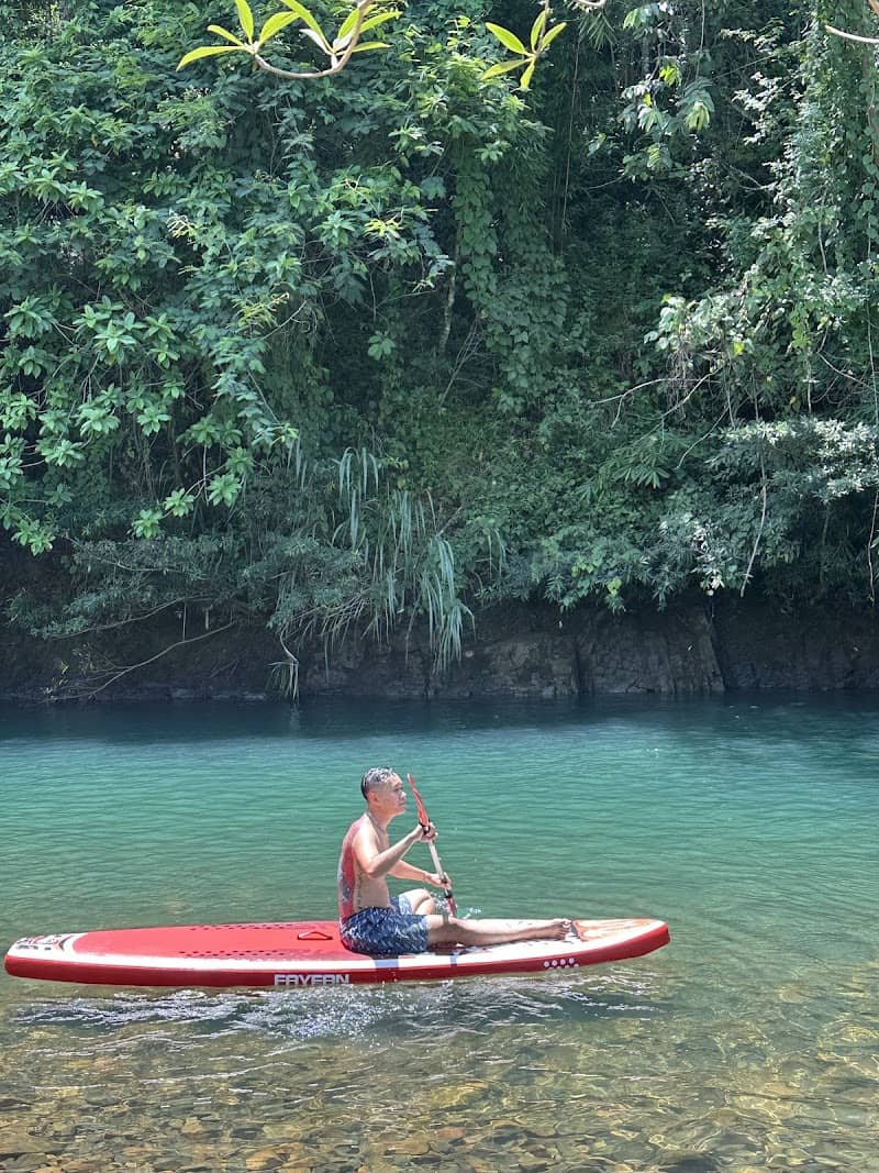 Vườn Điều Bên Suối La Ngâu - Điểm check-in