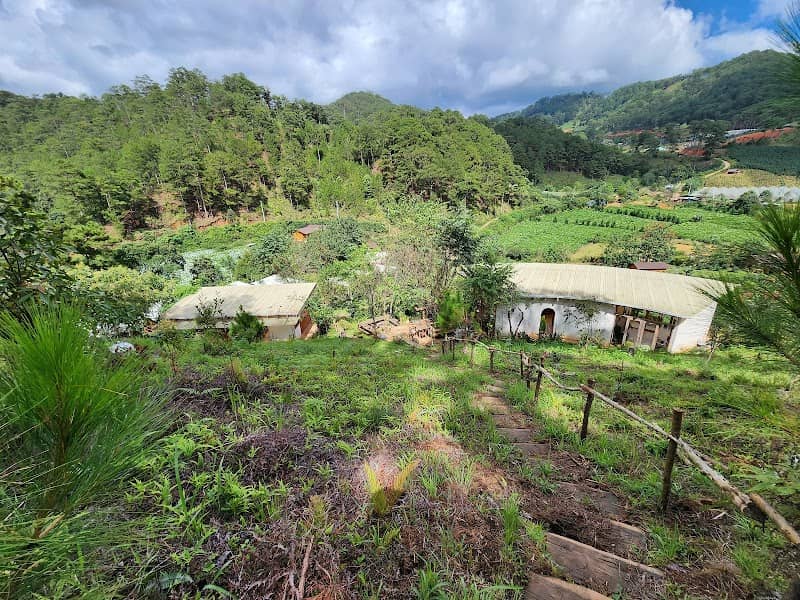 Đường đến Twin Beans Farm