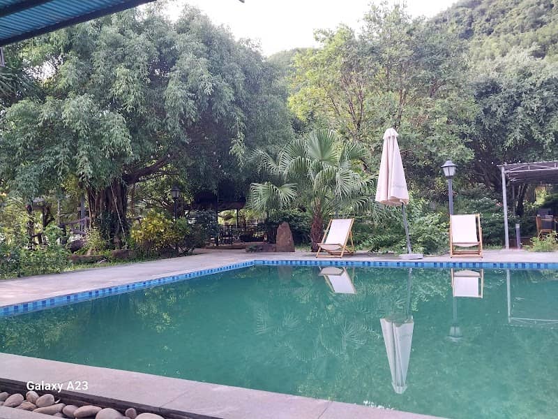 Ảnh minh họa Tuấn Lê Glamping