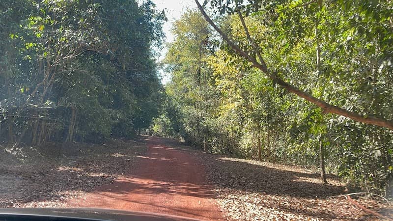 Cắm trại Mã Đà Forest Camping